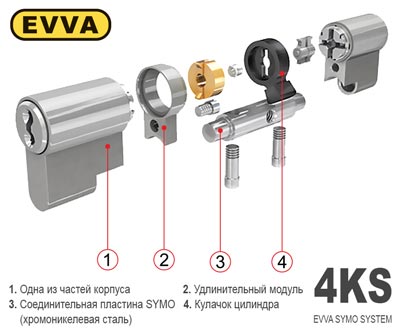 модульное строение личинки