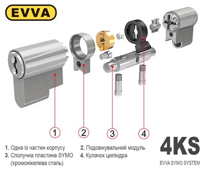 модульна будова личинки